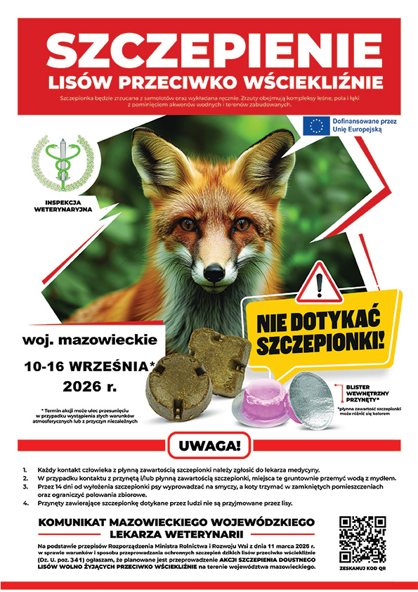 Galeria zdjęć